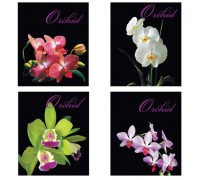 Тетрадь 48 л. А5 клетка Brauberg ЭКО "Орхидеи" обложка мелованный картон