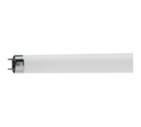 Лампа люминесцентная Philips TL-D G13 18W/33-640 SLV (короткая)