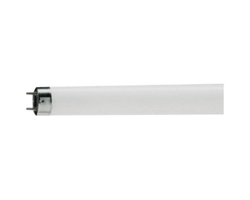 Лампа люминесцентная Philips TL-D G13 18W/33-640 SLV (короткая)